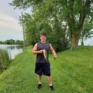 Meet your Posher, Luke